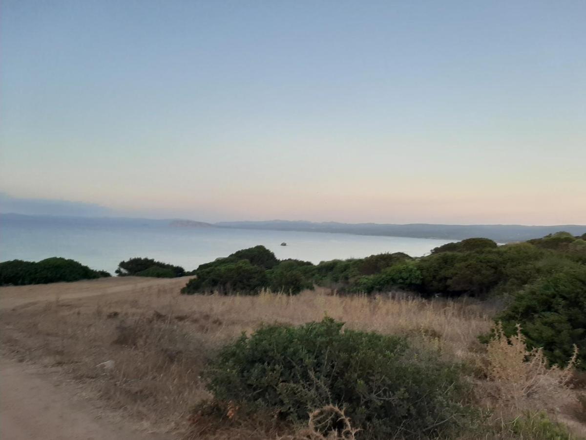Appartamento Residence Mirice Vignola Mare Aglientu Casa Giorgia ภายนอก รูปภาพ